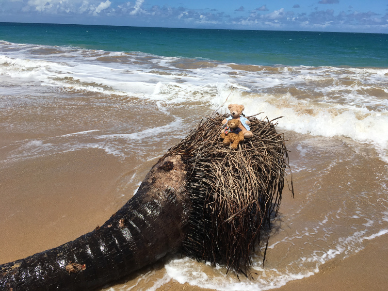 Guadeloupe - February 2019