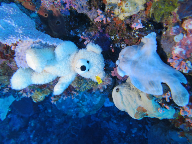 Gilli Islands - Lombok - Indonesia